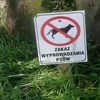 Braniewo, plac zabaw