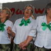 Stopa 2011,