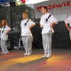 Stopa 2011,