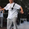 Stopa 2011,