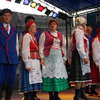 Stopa 2011,