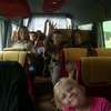 &copy; GBP w Czarni