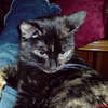 &copy; nadesłąne