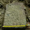 &copy; Marek Należny