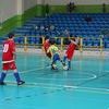 Rona Cup 2011
