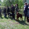 LIPOWIEC KOŚCIELNY: W Parcelach Łomskich spotkało się kilkunastu właścicieli  psów myśliwskich z całej Polski