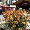 Święto kwiatów na Maderze
