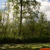 Spływ kajakowy Krutynią plus wizyta w Galindii - zdjęcia z wyprawy