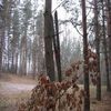 Złapane w kadrze