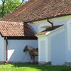 Rańsk: kościół z pocz. XIX wieku