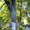 Szczytno: cmentarz żydowski