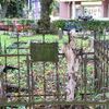 Ostróda: cmentarz katolicki z XIX wieku