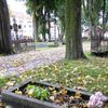 Ostróda: cmentarz katolicki z XIX wieku