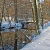 Zimowe krajobrazy: Jezioro Nidzkie i rzeka Nidka