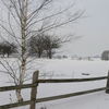 To na wsi zima jest napiękniejsza- Łęg, gm. Wieczfnia Kościelna, zima 2011