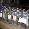 Ruciane - Nida: zabytkowa wyłuszczarnia nasion