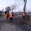 DZIERZGOWO: Drogowcy przycinają drzewa w okolicy Sodowa 
