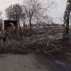 DZIERZGOWO: Drogowcy przycinają drzewa w okolicy Sodowa 