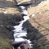 Tak wygląda mławska rzeka Seracz po zimie