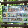 Leśnbe arboretum w Kudypach