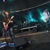 Ostro, Zdrowo, Rockowo - koncert Taxi