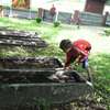 Porządkowanie cmentarza w Kandytach