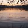 Jezioro Wielkie Partęczyny