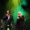Koncert Marka Torzewskiego w Olsztynie