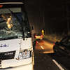 Autobus potrącił łosia na Wojska Polskiego. Zwierzę nie przeżyło
