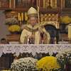 Urodziny arcybiskupa seniora Edmunda Piszcza