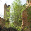 Ruiny pałacu w Gładyszach