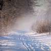 Najpiękniejsza fotografia zimowa 