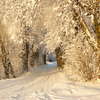 Najpiękniejsza fotografia zimowa 
