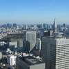 Olsztynianka czeka na świt w Japonii