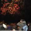 Finał Wośp w Olsztynie