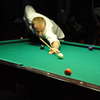 I Ogólnopolskie Mistrzostwa Warmii i Mazur w 8 bil Tyskie Cup of Pool w klubie Golden Eight