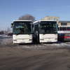 Mława. Pierwsze trzy nowe autobusy wyruszyły na trasy