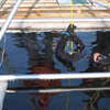 Podlodowy Puchar Polski we Freedivingu