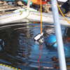 Podlodowy Puchar Polski we Freedivingu