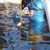 Podlodowy Puchar Polski we Freedivingu
