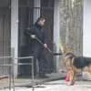 Tragiczne warunki życia policyjnych psów