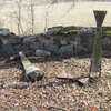 Czyprki: cmentarz ewangelicki i cmentarz wojenny z I wojny światowej