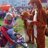 Desant Kulturalny OLA na olsztyńskich Jarotach