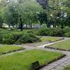 Olsztyn: cmentarz wojenny na Szarych Szeregów