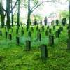 Olsztyn: cmentarz wojenny z I wojny światowej na Szarych Szeregów
