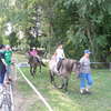 Dni Olsztynka 2012 - sobota