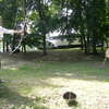 Dni Olsztynka 2012 - sobota