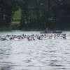Herbalife Susz Triathlon 2012 (Susz, 7.07.2012)