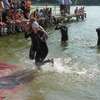 Herbalife Susz Triathlon 2012 (Susz, 7.07.2012)