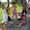 Herbalife Susz Triathlon 2012 (Susz, 7.07.2012)